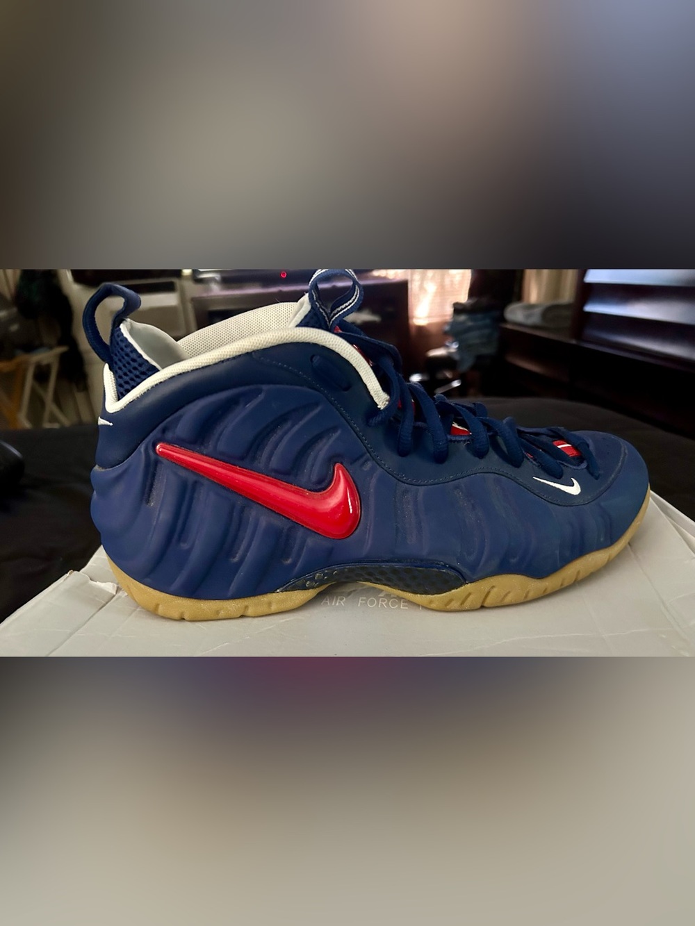 Men Nike basketball shoe